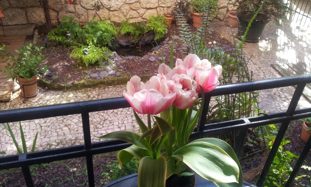 Whatever Art B&B Lisbon Exterior photo